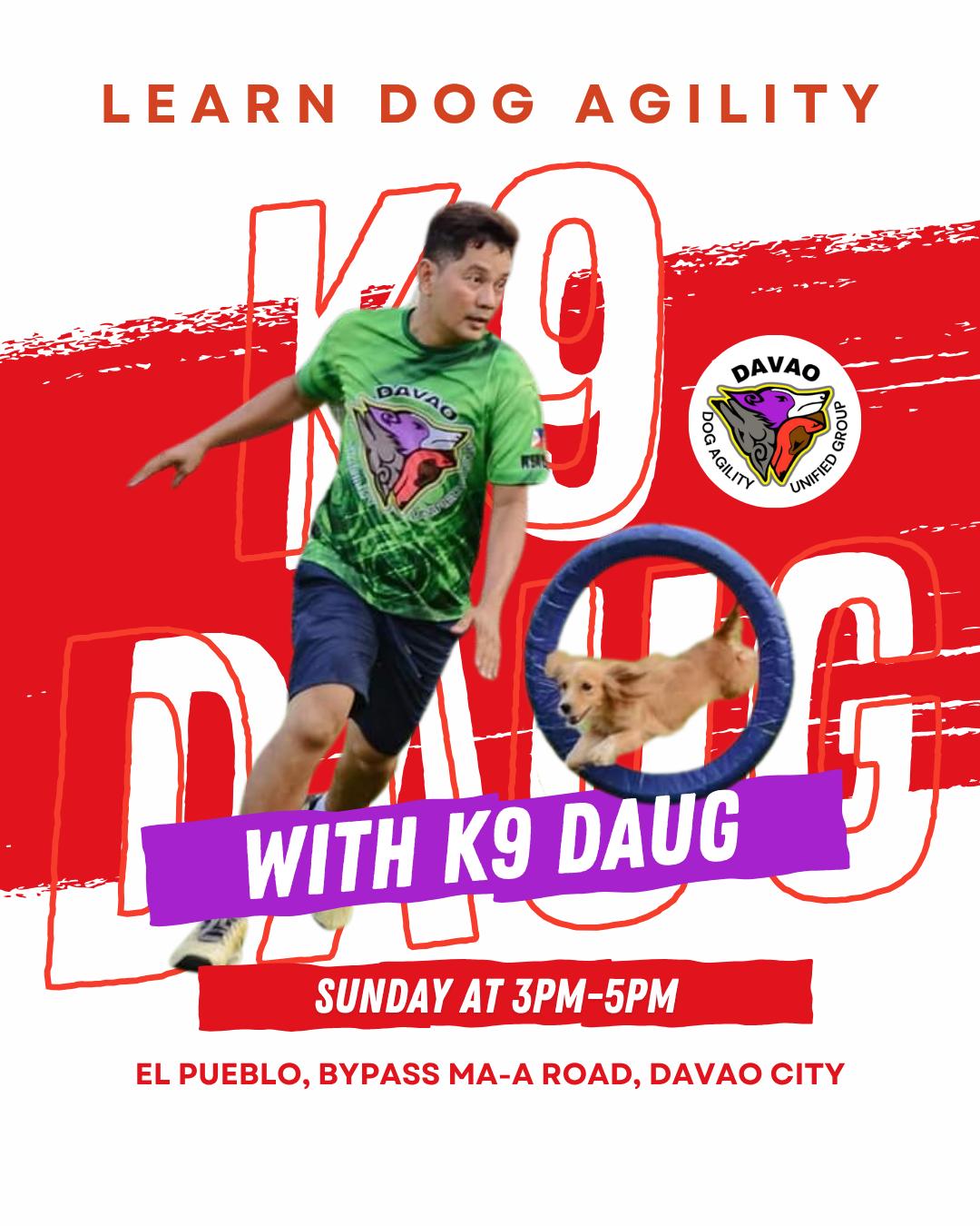 Dog agility slideshow 8