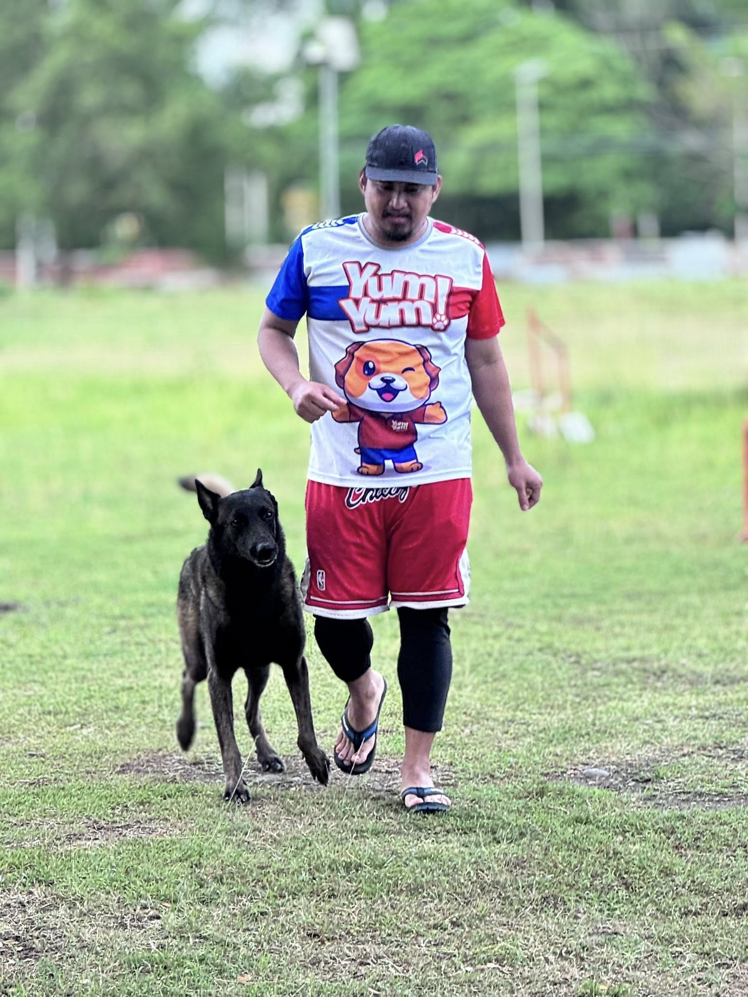 Dog agility slideshow 6