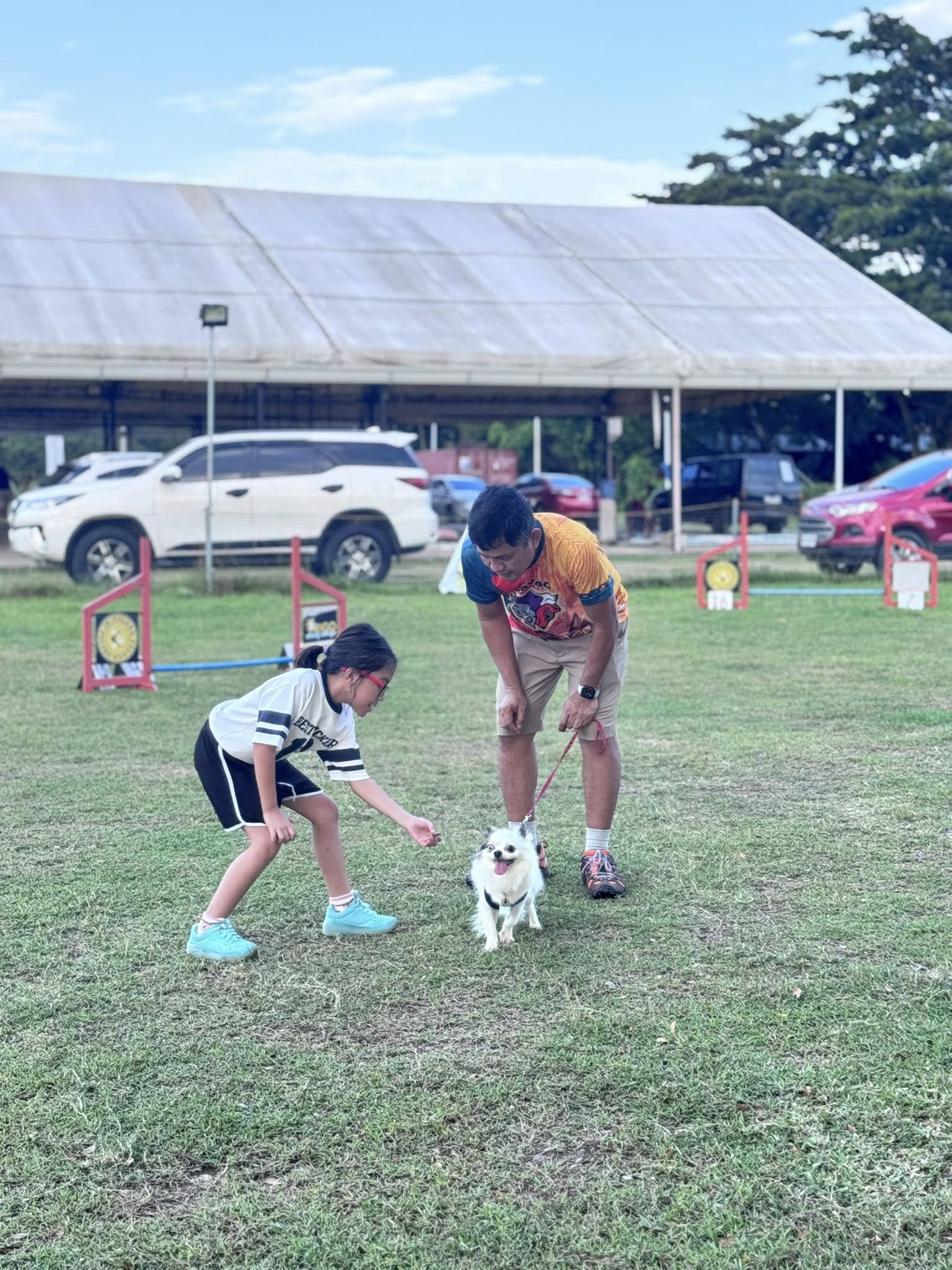 Dog agility slideshow 4