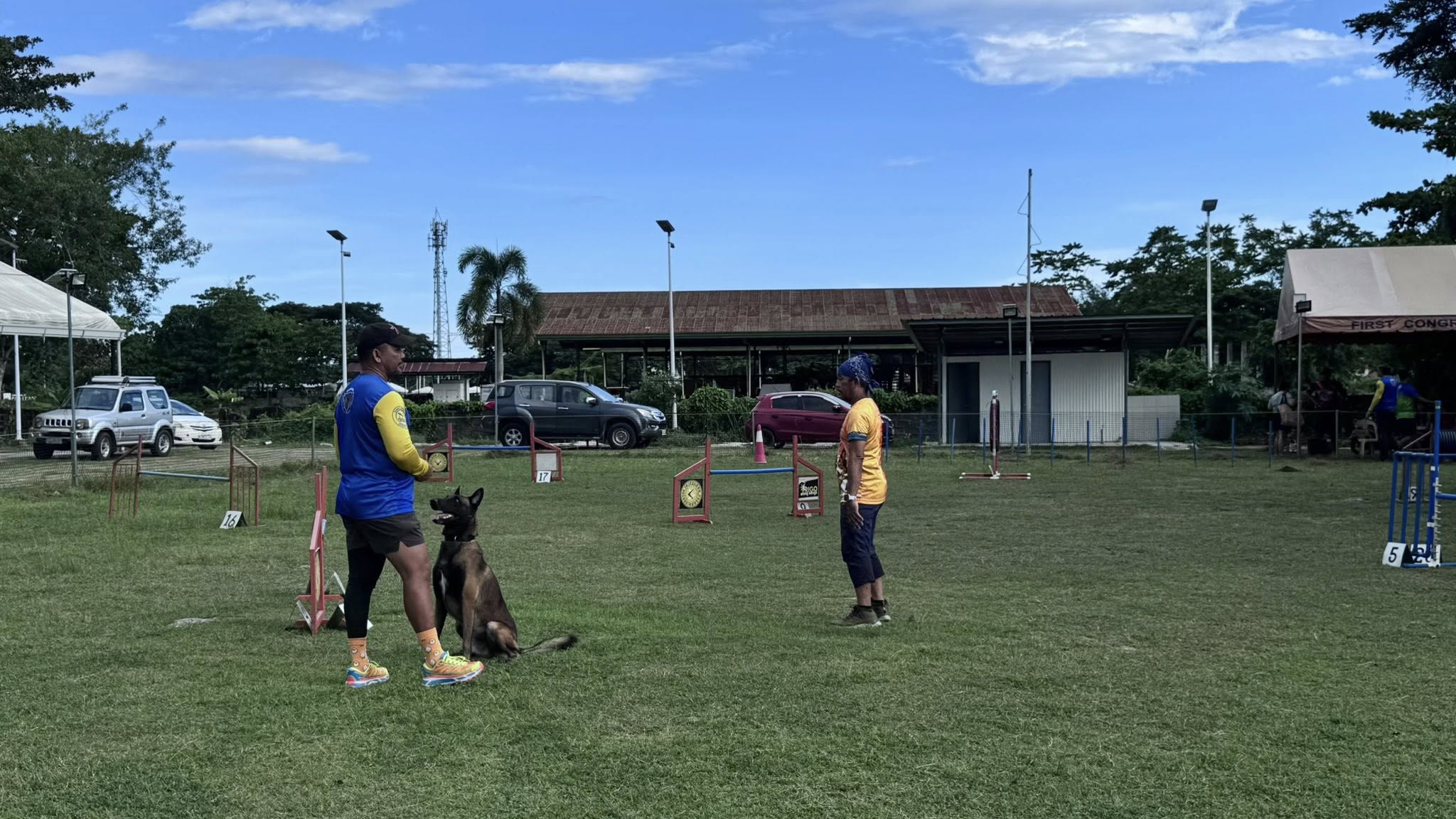 Dog agility slideshow 3