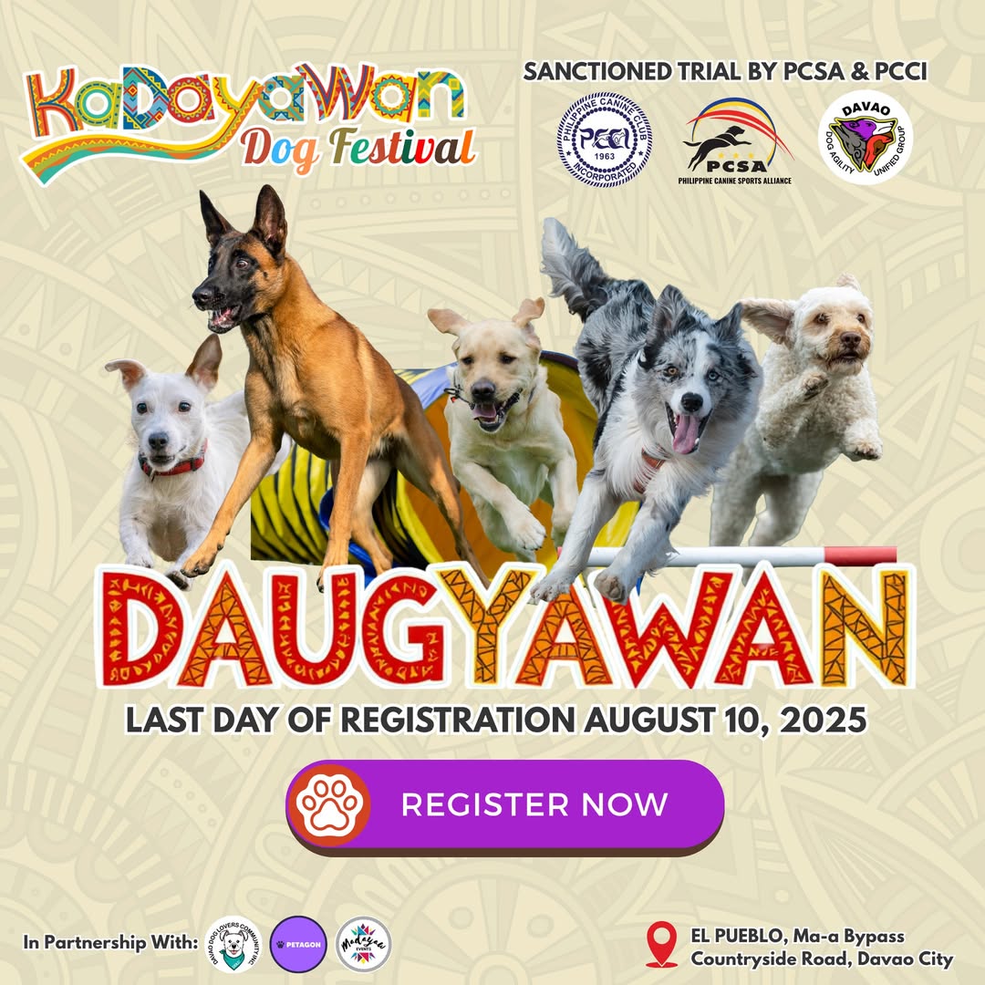 Dog agility slideshow 2